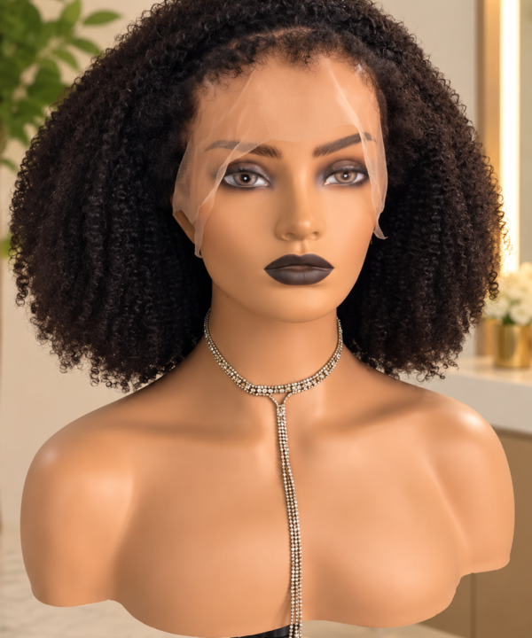 4C Afro Wig
