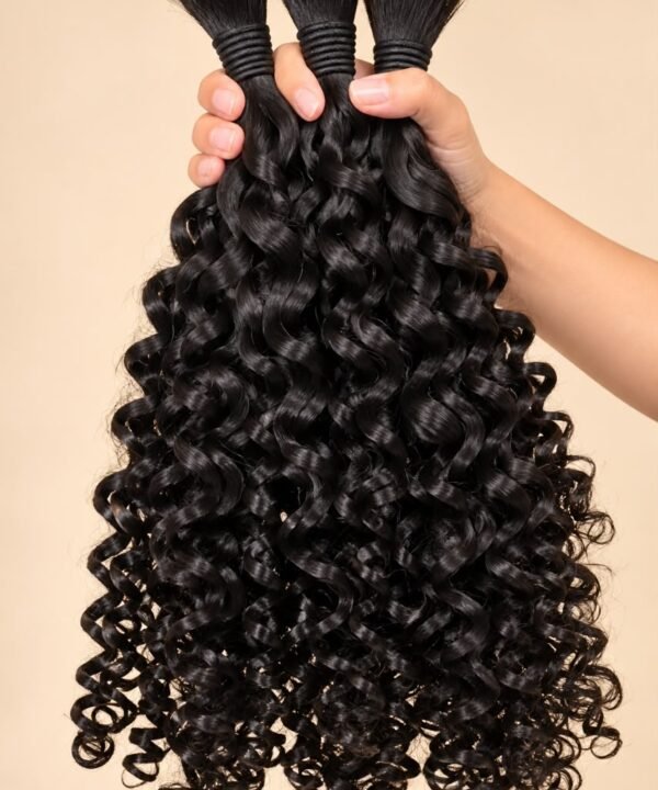 Burmese Curly Bulk